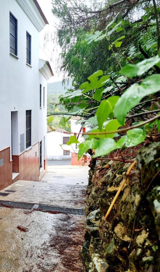 La Casa Junto Al Sendero Del Rio & Piscina # Aire Acondicionado *