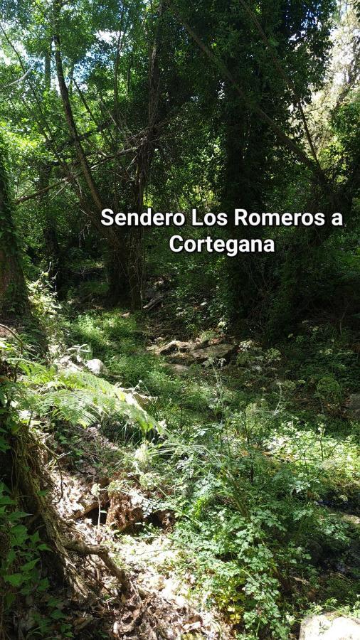 La Casa Junto Al Sendero Del Rio & Chimenea Y Lena Incluida *