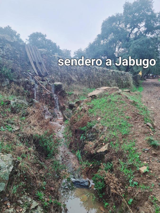 La Casa Junto Al Sendero Del Rio & Chimenea Y Lena Incluida * Los Romeros