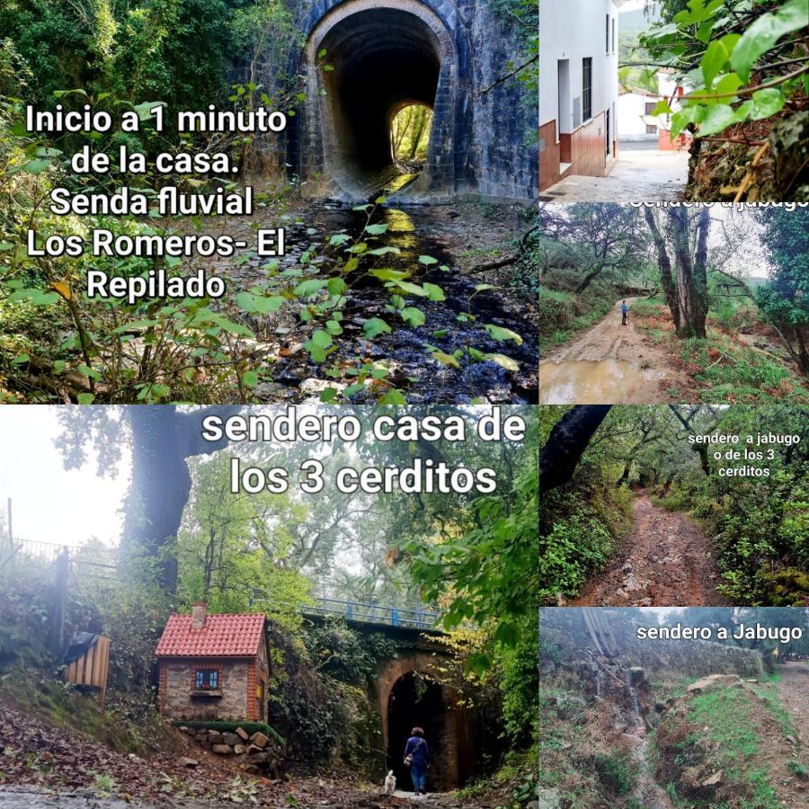 La Casa Junto Al Sendero Del Rio & Chimenea Y Lena Incluida Holiday home